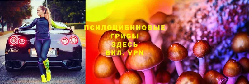 Псилоцибиновые грибы Magic Shrooms  закладки  мориарти наркотические препараты  Алейск 